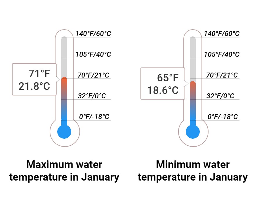 Average Sea temperature